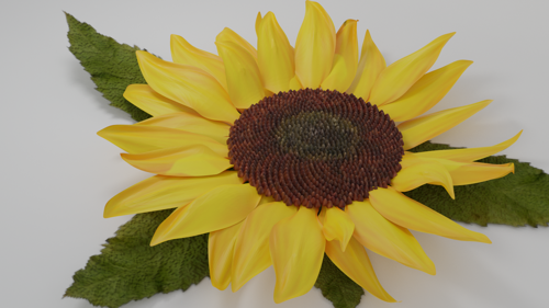 Sunflower preview image